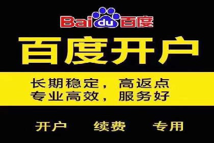 SEM广告投放的精准定位与优化案例